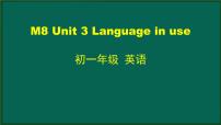 外研版 (新标准)七年级下册Unit 3 Language in use教案配套课件ppt