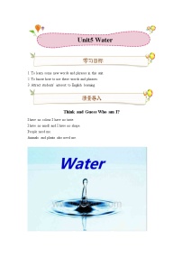 英语七年级下册（2012秋审查）Module3 Natural elementsUnit 5 Water学案设计