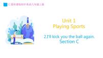 初中英语Unit 1 Playing SportsTopic 2 I'll kick you the ball again.授课ppt课件