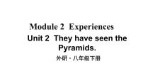 外研版 (新标准)八年级下册Unit 2  They have seen the Pyramids.一等奖教学课件ppt