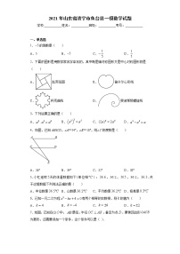 2021年山东省济宁市鱼台县一模数学试题(word版含答案)