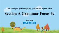 初中英语人教新目标 (Go for it) 版八年级上册Unit 10 If you go to the party you’ll have a great time!Section A备课课件ppt