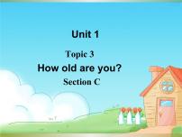 初中仁爱科普版Topic 3 How old are you?教学课件ppt