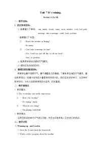 人教新目标 (Go for it) 版七年级下册Unit 7 It’s raining!综合与测试教案
