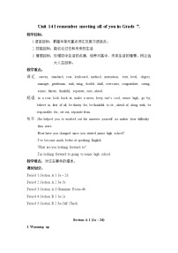 人教新目标 (Go for it) 版九年级全册Unit 14 I remember meeting all of you in Grade 7.综合与测试教案及反思