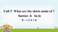 2020-2021学年Section A授课ppt课件