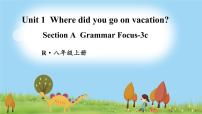 人教新目标 (Go for it) 版八年级上册Unit 10 If you go to the party you’ll have a great time!Section A说课ppt课件