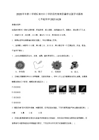 浙江省温州乐清市2020—2021学年下学期七年级阶段性教育质量监测试题卷（word版 含答案）