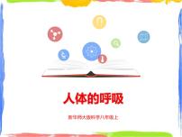 华师大版八年级上册2 人体的呼吸课文ppt课件