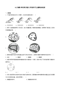 2021学年2细胞精品同步达标检测题