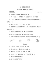 华师大版七年级上册2 植物的主要类群第1课时当堂达标检测题