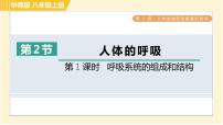 八年级上册2 人体的呼吸习题课件ppt