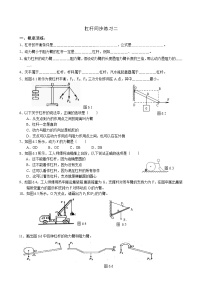 华师大版九年级上册1 杠杆教案