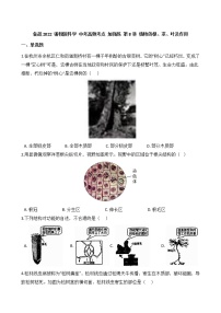 第8讲 植物的根、茎、叶及作用  备战2022 浙教版科学 中考高频考点 加强练