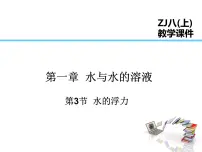 浙教版八年级上册第3节 水的浮力备课课件ppt