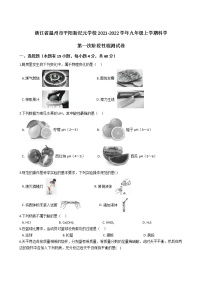 浙江省温州市平阳新纪元学校2021--2022学年九年级上学期科学第一次阶段性检测【试卷+答案】