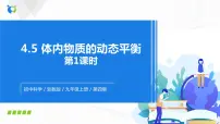 初中科学第5节 体内物质的动态平衡说课课件ppt