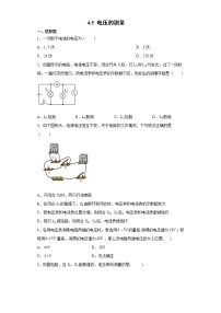 初中科学第5节 电压的测量巩固练习