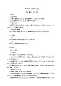 初中科学浙教版七年级下册第2章 对环境的察觉第6节 透镜和视觉第1课时教案设计