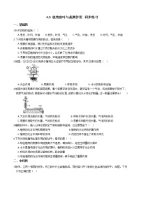 浙教版八年级下册第5节 植物的叶与蒸腾作用同步练习题