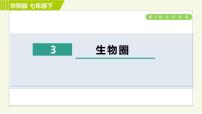 科学七年级下册3 生物圈习题ppt课件