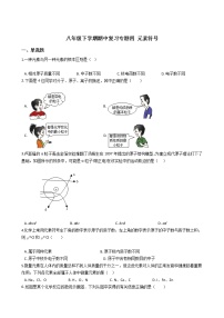 2021-2022学年八年级下学期期中复习专题四 元素符号