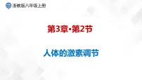 初中科学浙教版八年级上册第2节 人体的激素调节教学课件ppt