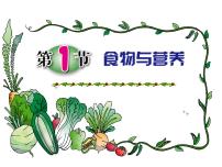 科学九年级上册第1节 食物与营养教课内容ppt课件