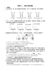 中考科学【二轮专题】复习 专题十二  金属  强化训练（有答案）