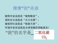 初中科学华师大版七年级下册4 二氧化碳教学ppt课件