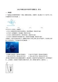 2022年浙江省中考科学专题复习 浮力