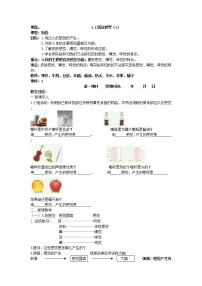 科学七年级下册第2章 对环境的察觉第1节 感觉世界教案