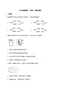 浙教版科学七下期末复习阶梯训练：植物（提高训练）及答案