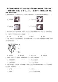 浙江省温州市鹿城区2022年初中科学毕业升学考试模拟检测（一模）试卷(含答案)