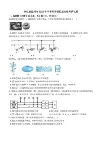 浙江省温州市2022年中考科学模拟适应性考试试卷(含答案)