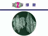 浙教版七年级上册第2章 观察生物第2节 细胞教案配套ppt课件