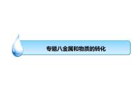 浙教版初中科学 《金属和物质转化》中考冲刺二轮复习课件