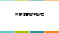 初中科学浙教版七年级上册第3节 生物体的结构层次教课课件ppt