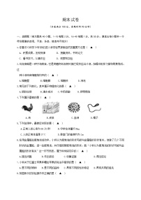 华师大科学七年级上册 期末试卷2