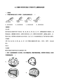 华师大版七年级上册2细胞复习练习题