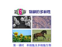 浙教版七年级上册第6节 物种的多样性说课课件ppt