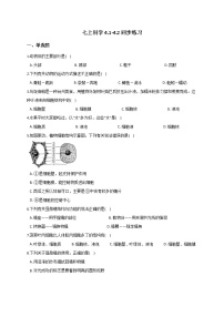 华师大版七年级上册2细胞当堂检测题