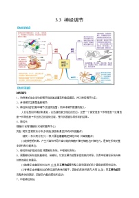 浙教版八年级上册第3节 神经调节同步测试题