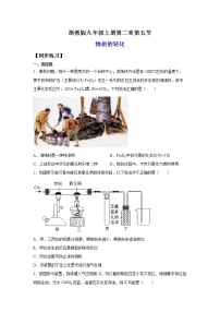 浙教版九年级上册第5节 物质的转化课时练习