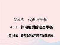 初中科学浙教版九年级上册第5节 体内物质的动态平衡教案配套课件ppt