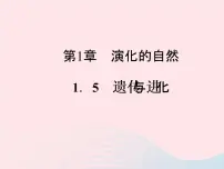 初中科学浙教版九年级下册第 5 节 遗传与进化课堂教学课件ppt