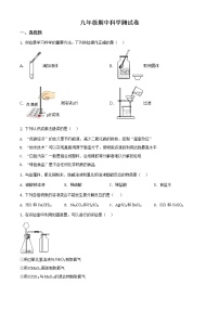 浙教版科学九年级上册  期中测试卷2