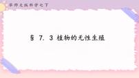 初中科学华师大版七年级下册3 植物的无性生殖公开课课件ppt