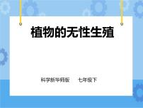 科学七年级下册第7章 植物和微生物的生殖与发育3 植物的无性生殖一等奖课件ppt