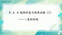 科学浙教版第4节 植物的茎与物质运输获奖课件ppt